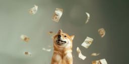 Analyse: is Dogecoin onderweg naar 0,125  dollar?